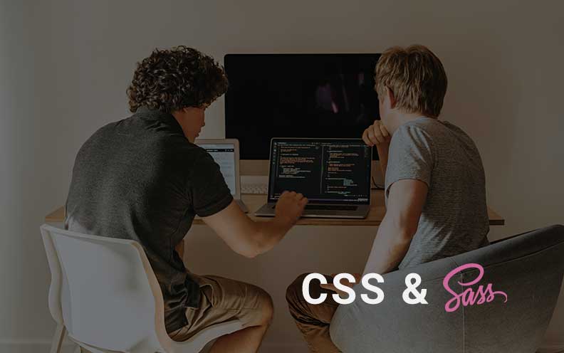 Read more about the article Advanced CSS and Sass