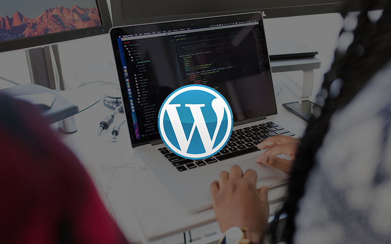 Read more about the article The Complete WordPress Website Business Course